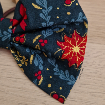 La&#x00E7;o&#x20;azul&#x20;de&#x20;Natal