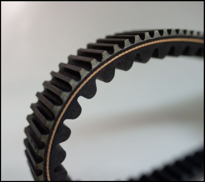 Correia PIAGGIO para Vespa