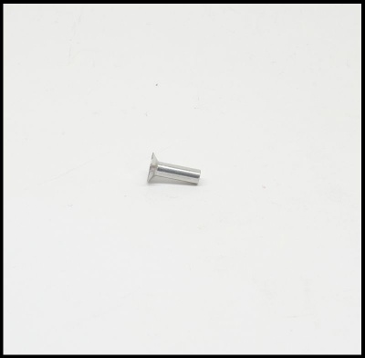 Rebites calhas de estrado para Vespa 3x10 mm