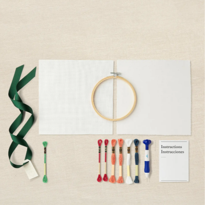 DMC- Kit Punch Needle Raposa