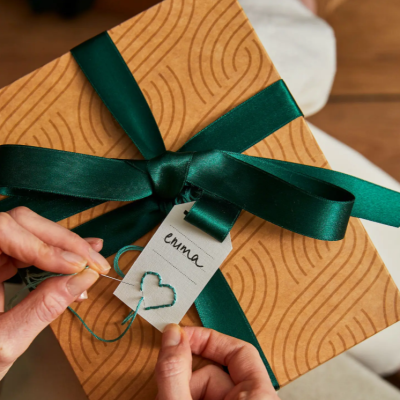 DMC- Kit Punch Needle Raposa