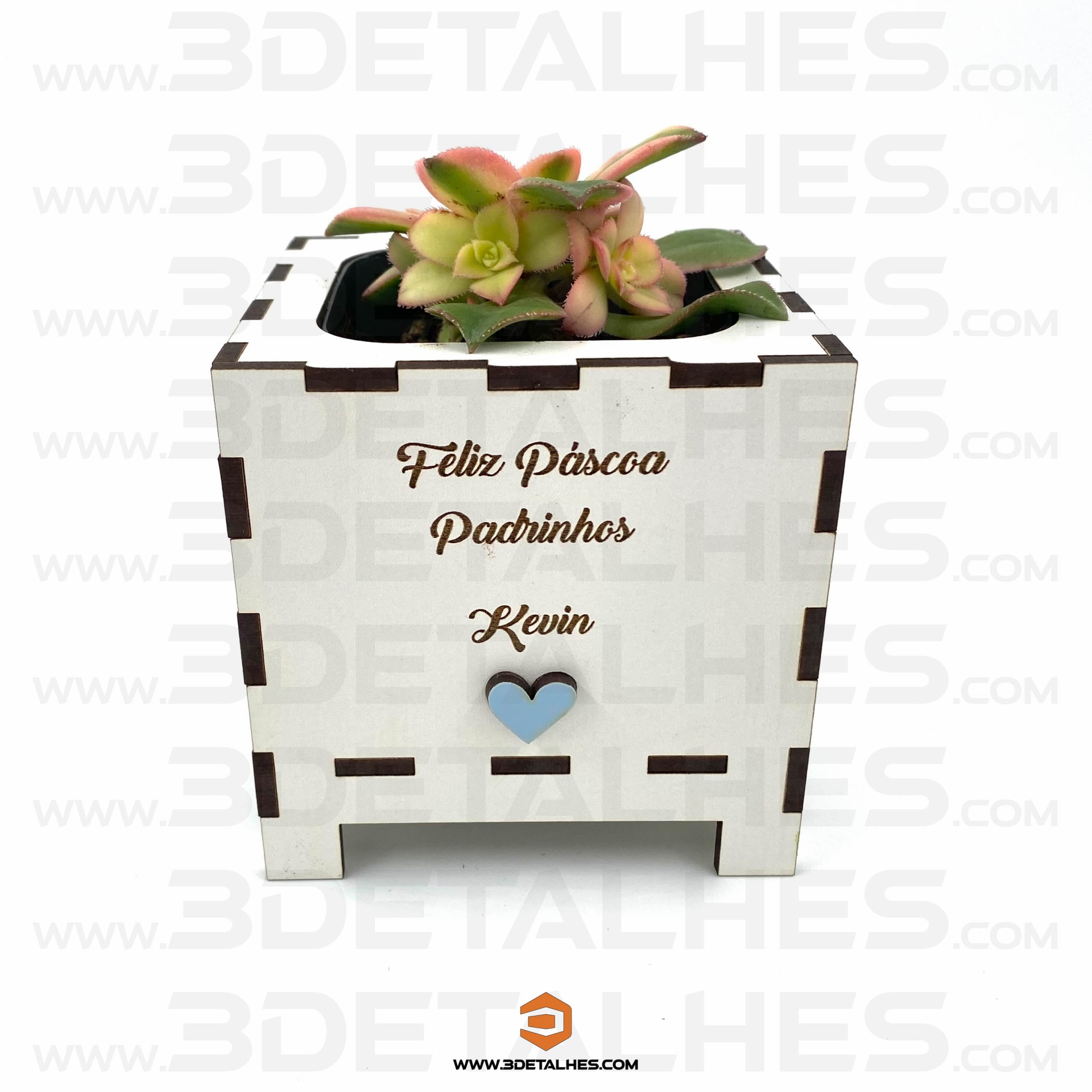 Vaso Branco com Suculenta