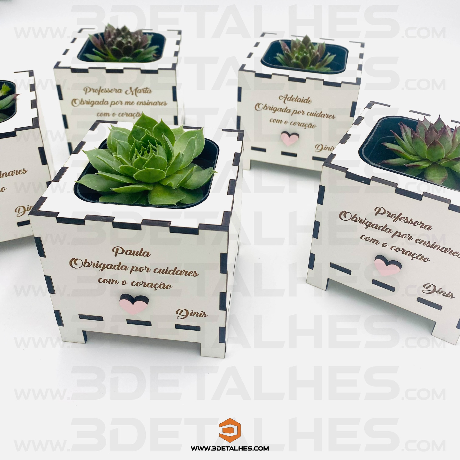 Vaso Branco com Suculenta