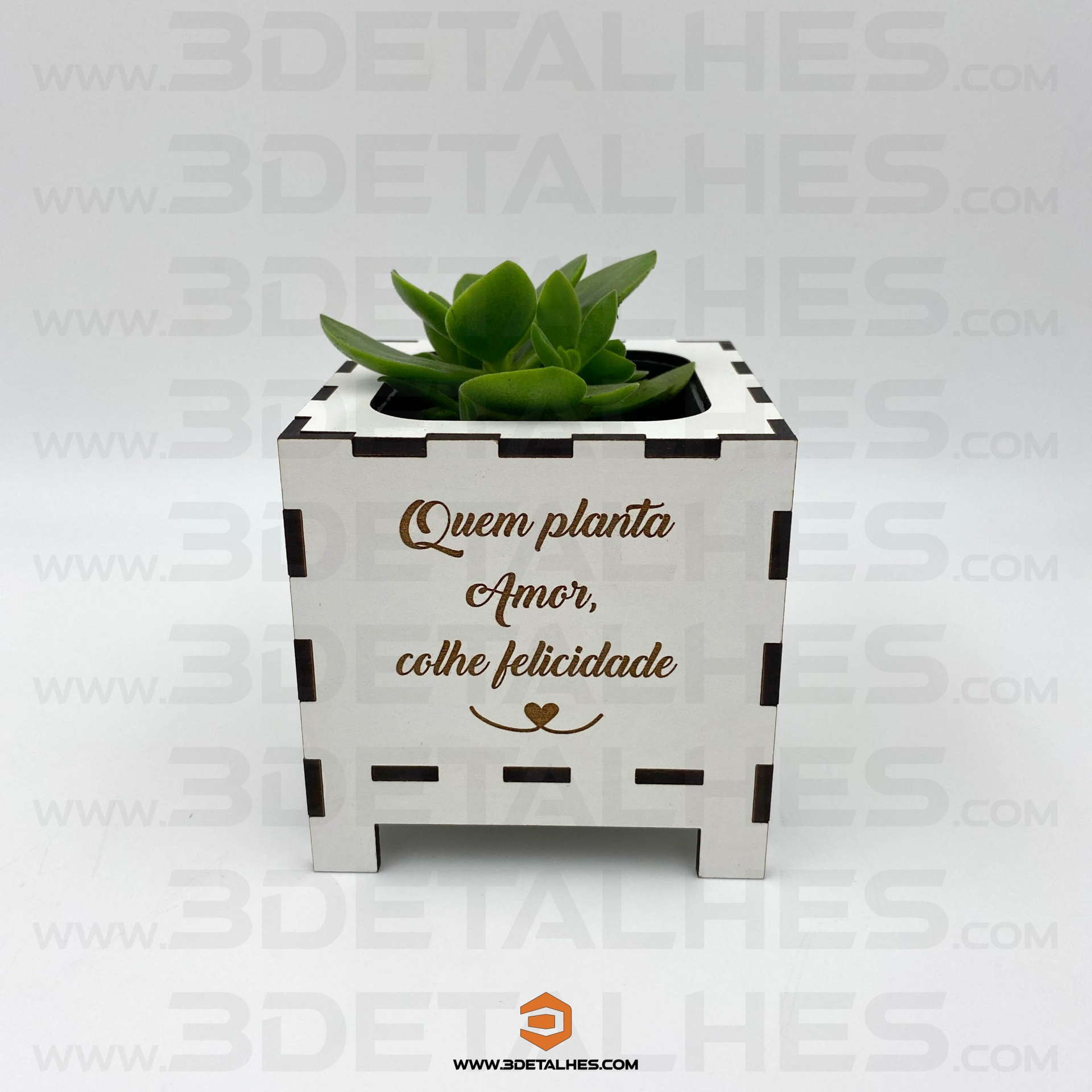 Vaso Branco com Suculenta