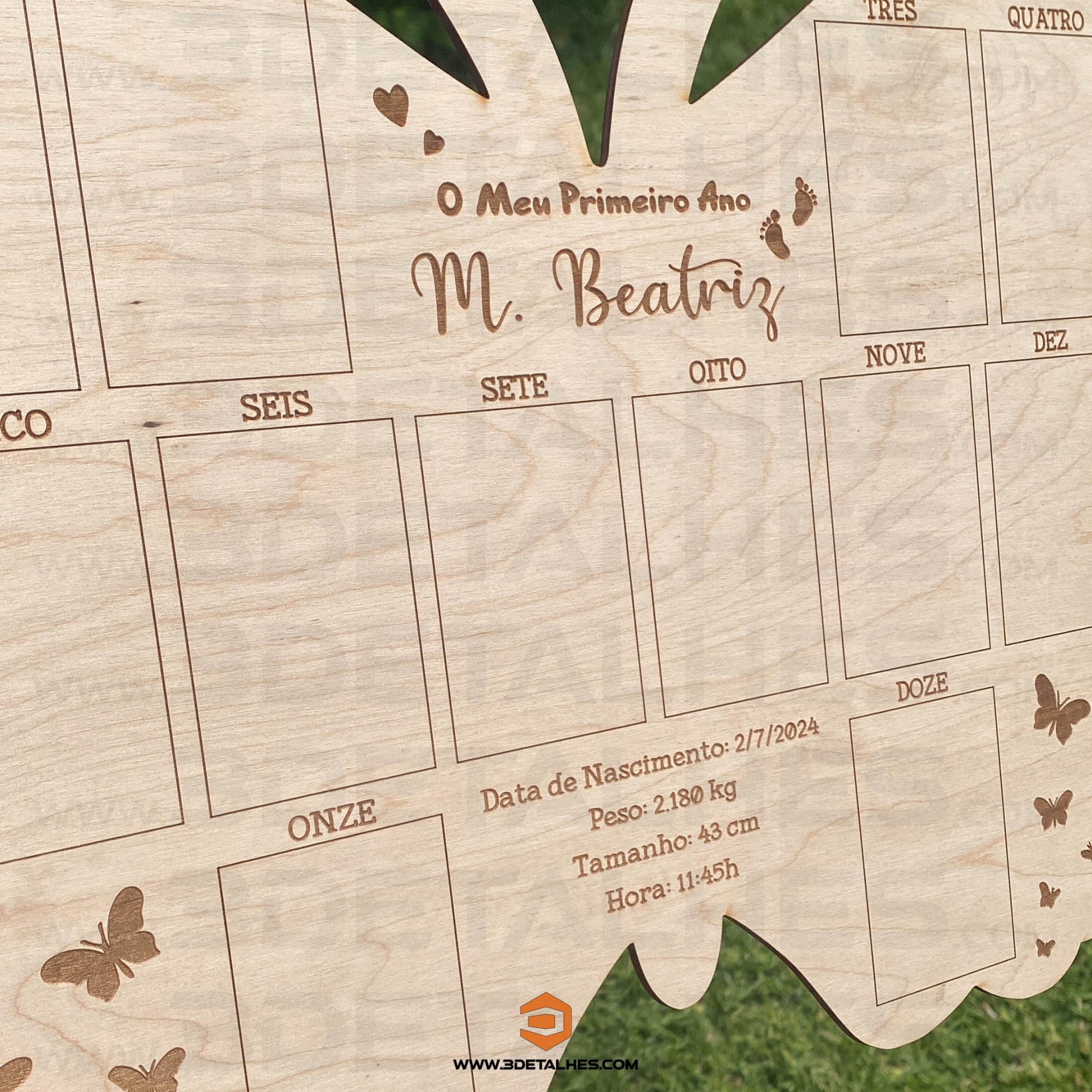 Placa de Nascimento - Borboleta 40cm
