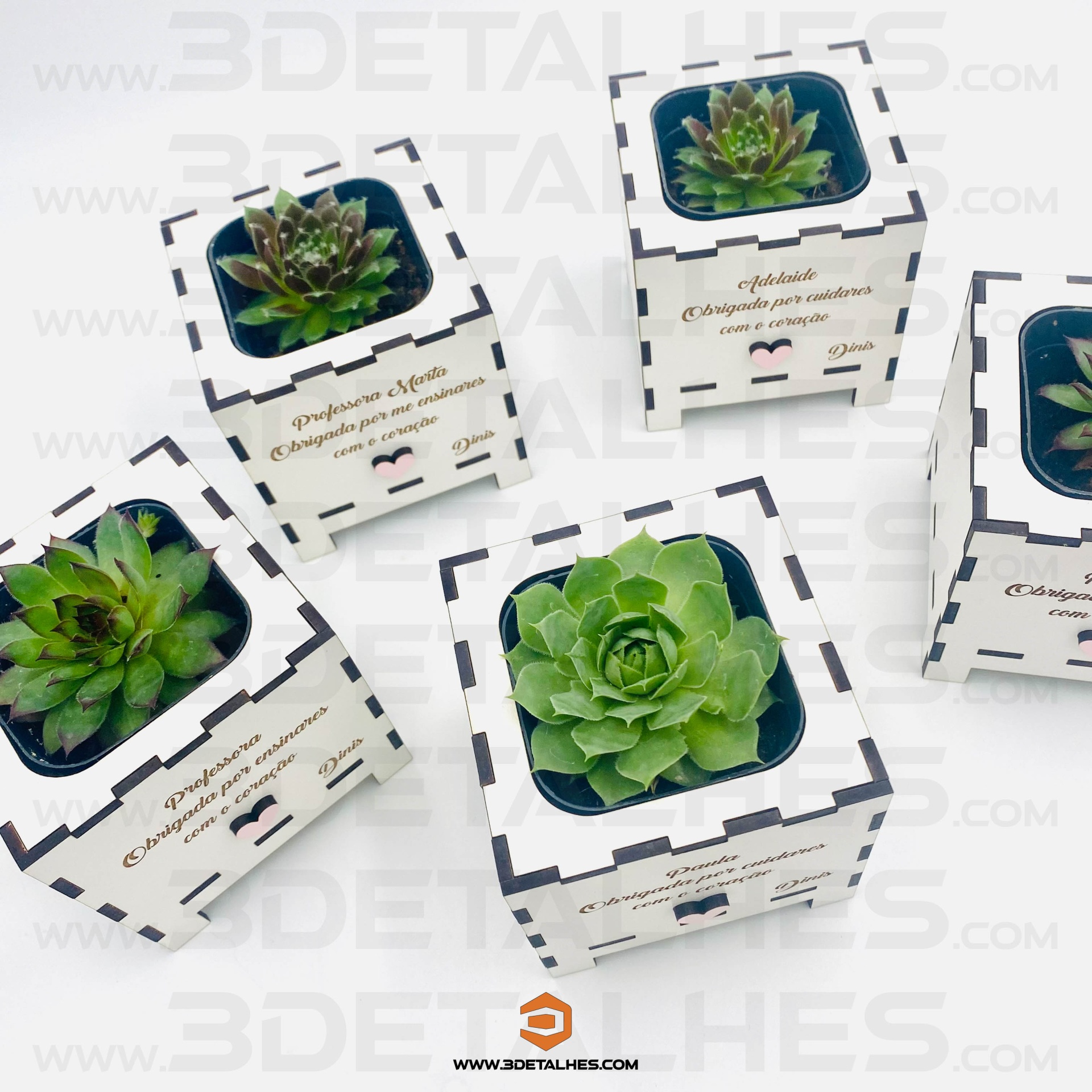 Vaso Branco com Suculenta