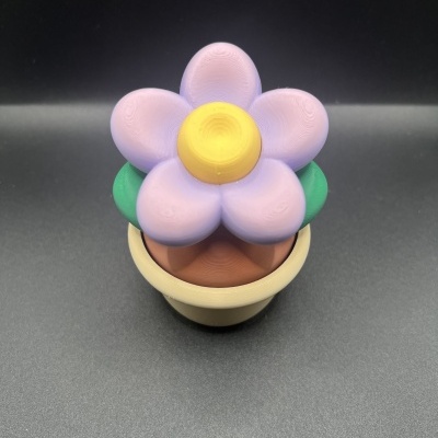 Valentine&#x20;Mini&#x20;Pack