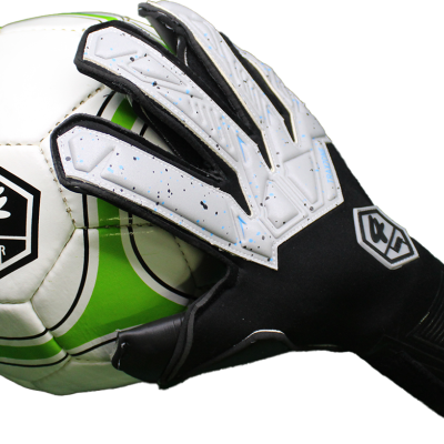 Contact Black Ellite