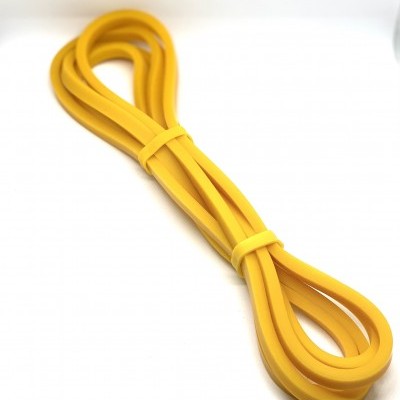 Banda Elástica de resistência