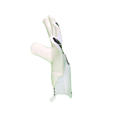 Contact White Ellite 2.0 Contact White Ellite 2.0