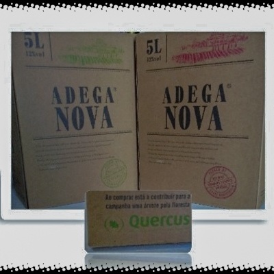 Duas caixas ADEGA NOVA de 5L em cartão castanho com cartaz Quercus