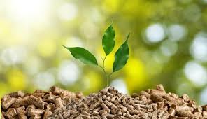 AQUECIMENTO BIOMASSA É UMA BOA OPÇÃO?