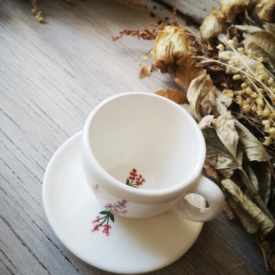 Conjunto de chávena de café e pires