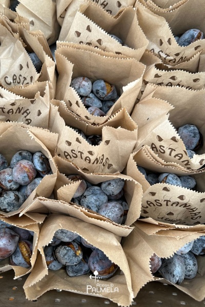 Voucher MAGUSTO na Adega de Palmela