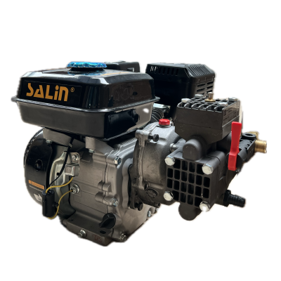 Grupo Pulverizar HONDA GX160 DL218