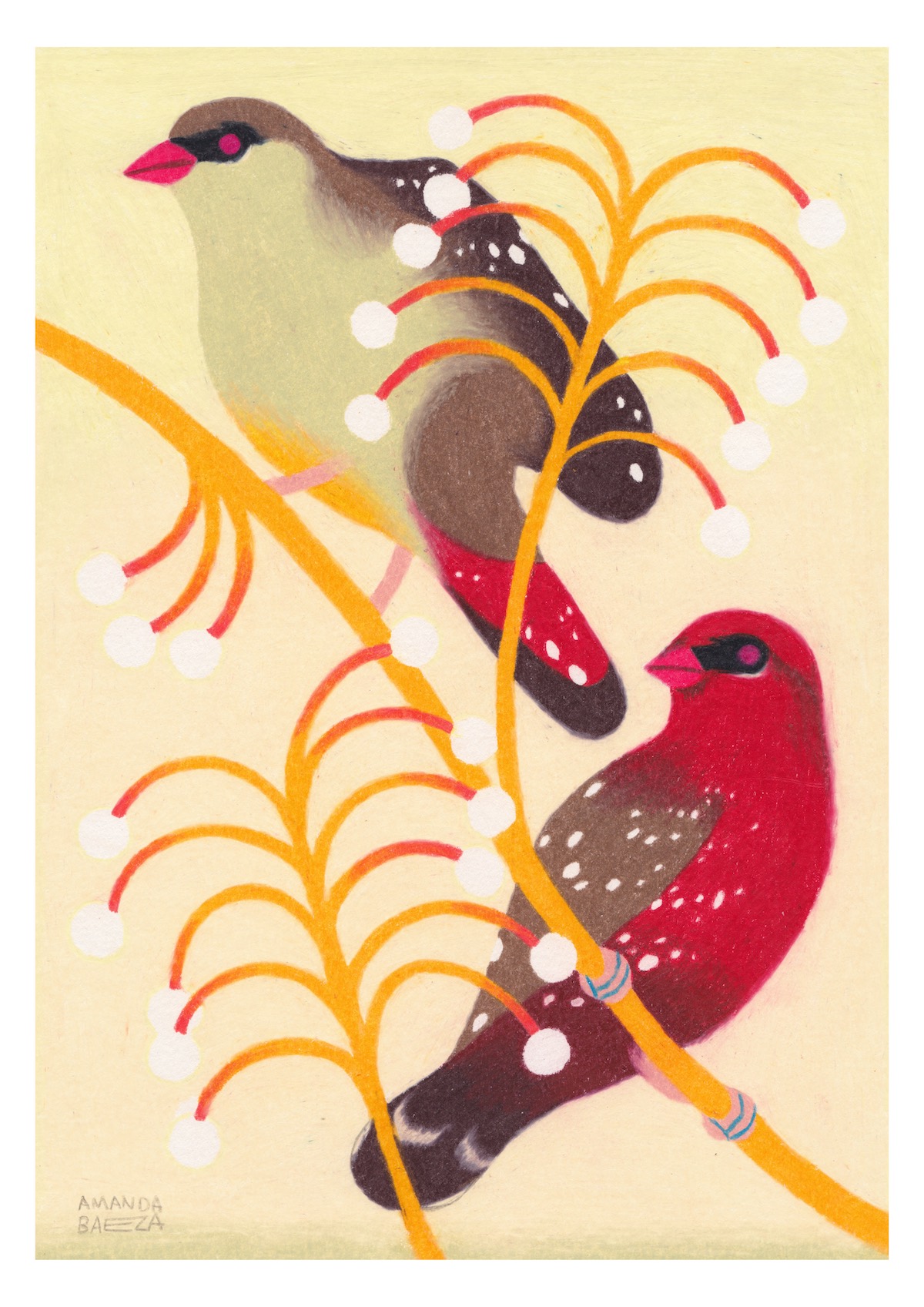 ORIGINAL "BENGALI VERMELHO" AMANDA BAEZA ORIGINAL "BENGALI VERMELHO" AMANDA BAEZA