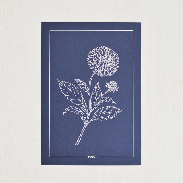 DAHLIA - PACK [NOTEBOOK + PRINT] BEIJA FLOR