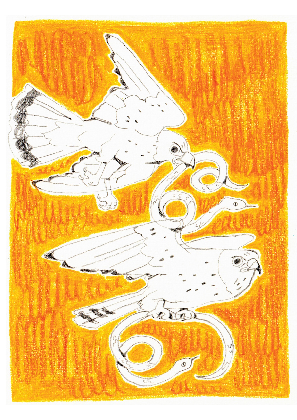 ORIGINAL "FRANCELHO" MENDI MENDES ORIGINAL "FRANCELHO" MENDI MENDES