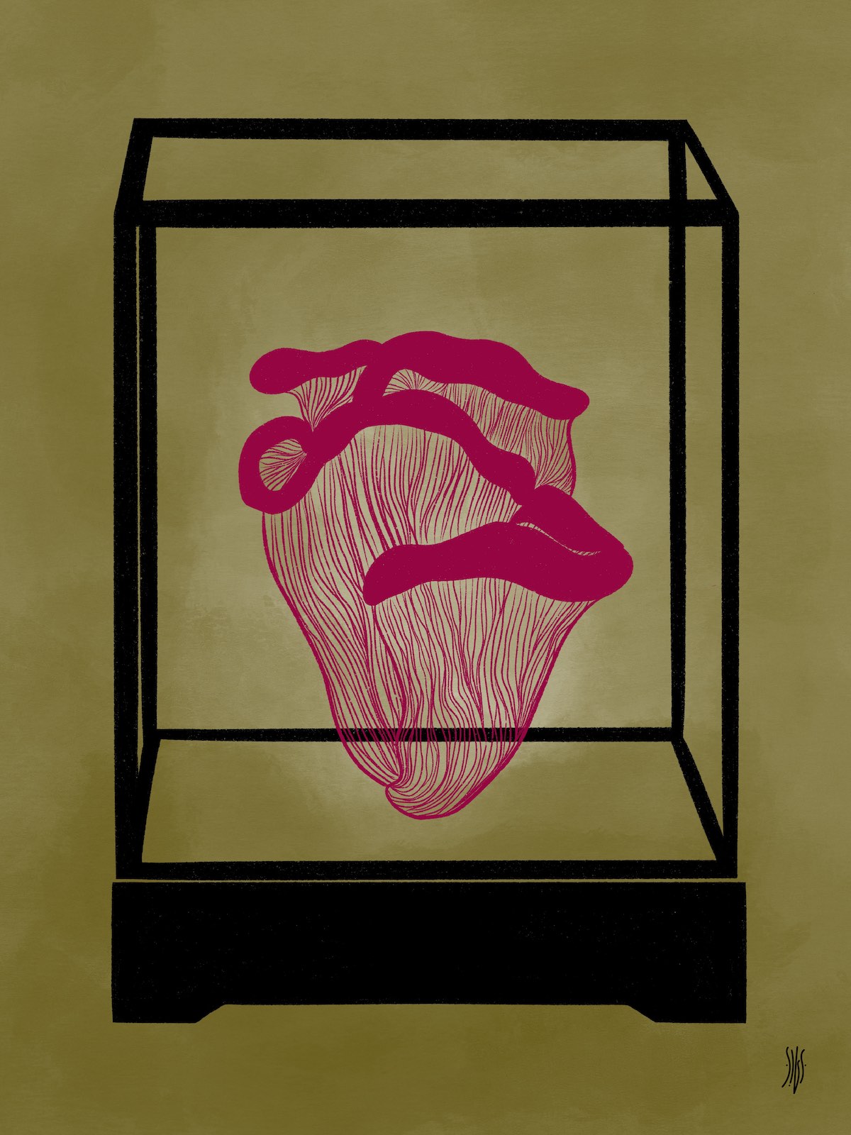 ILUSTRAÇÃO "MUSHROOM" SUSANA SILVA Ilustração de objeto vermelho dentro de caixa tridimensional preta em fundo castanho-oliva