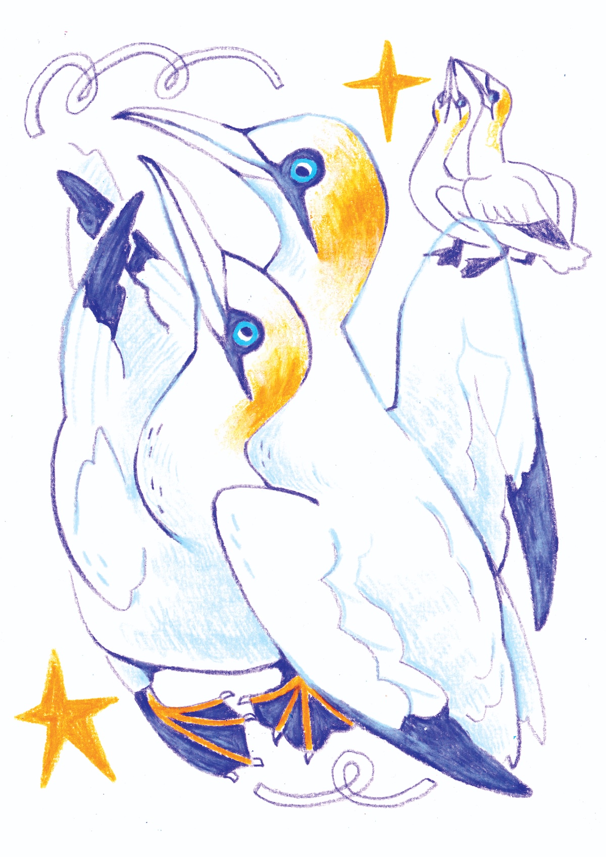 ILUSTRAÇÃO "ALCATRAZ DO NORTE" MENDI MENDES ILUSTRAÇÃO "ALCATRAZ DO NORTE" MENDI MENDES