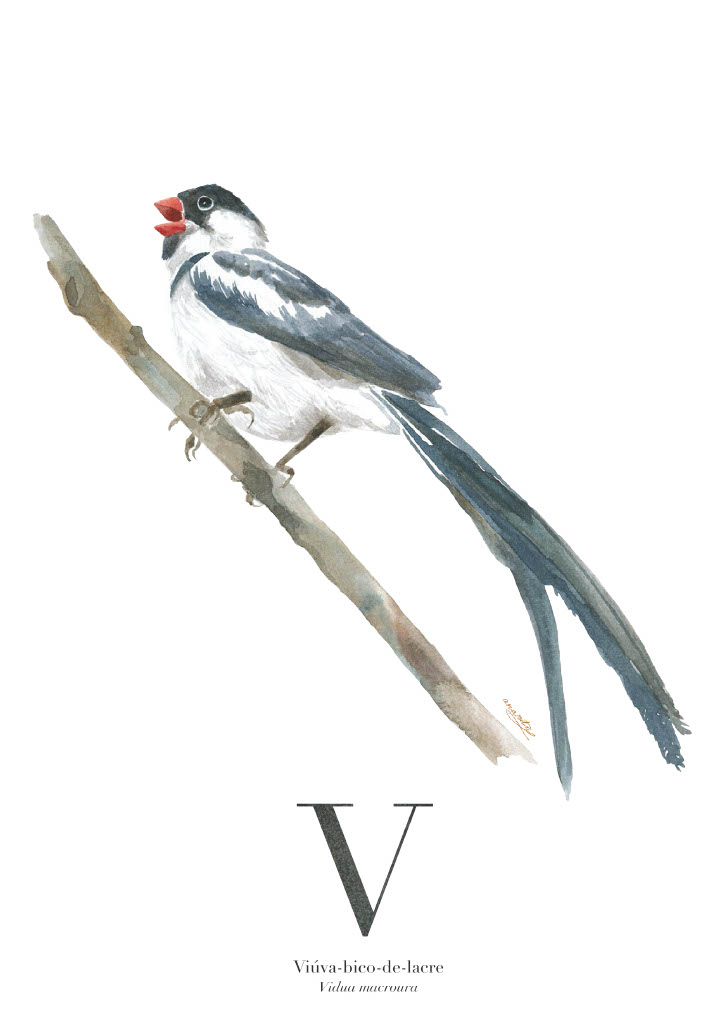 ORIGINAL "V" ANA RITA ROBALO ORIGINAL "V" ANA RITA ROBALO