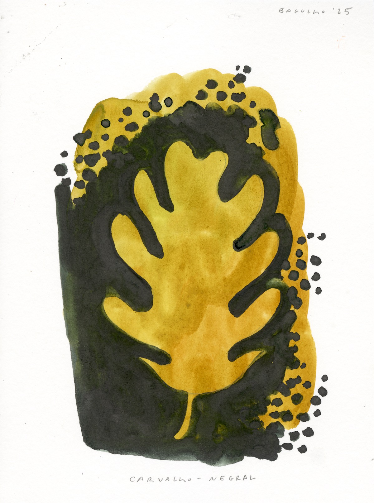 ORIGINAL "FOLHA DE CARVALHO-NEGRAL" BERNARDO BAGULHO ORIGINAL "FOLHA DE CARVALHO-NEGRAL" BERNARDO BAGULHO