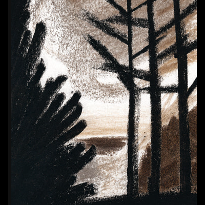 Ilustração artística de árvores na floresta ao anoitecer com texto 'À noite, na floresta sarah cheveur'