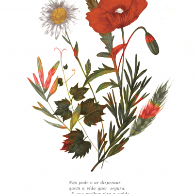 ILUSTRAÇÃO "DIA DA ESPIGA" CLÁUDIA SALGUEIRO