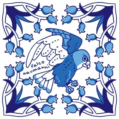 ILUSTRAÇÃO "AZULEJOS DE CASA - FALCO NAUMANNI" MENDI MENDES