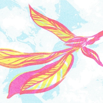 IUSTRAÇÃO "FOLHA DE SALGUEIRO-PRETO" BEATRIZ BRAJAL