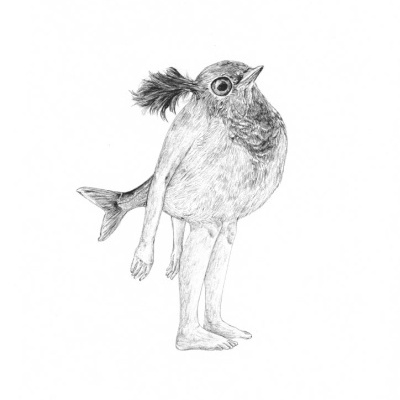 ILUSTRAÇÃO "PISCO" MOSCA QUE LADRA