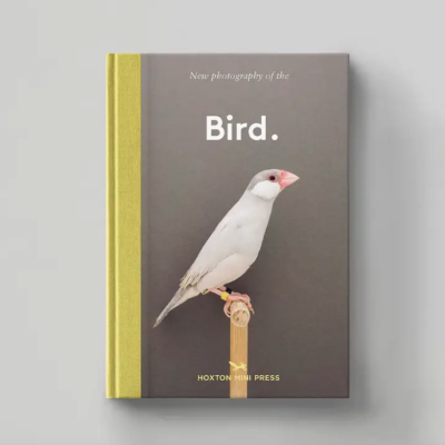 Bird. Hoxton Mini Press