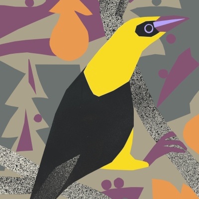 ILUSTRAÇÃO "PAPA FIGOS" IGA NAWARA