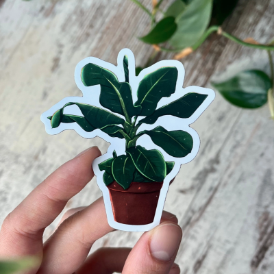 ÍMAN BANANEIRA PLANTYINTROVERTS