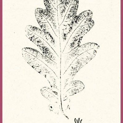 POSTAL "LEAVES 2" SUSANA SILVA