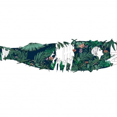 ILUSTRAÇÃO "SARDINHA" ISA MARITA