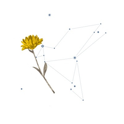 ORIGINAL "PAZ" CLÁUDIA SALGUEIRO