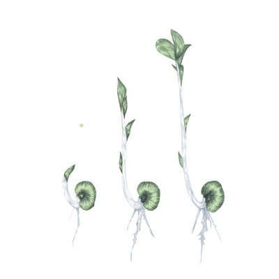 ILUSTRAÇÃO A4 "CRESCER, CRER, SER" CLAÚDIA SALGUEIRO