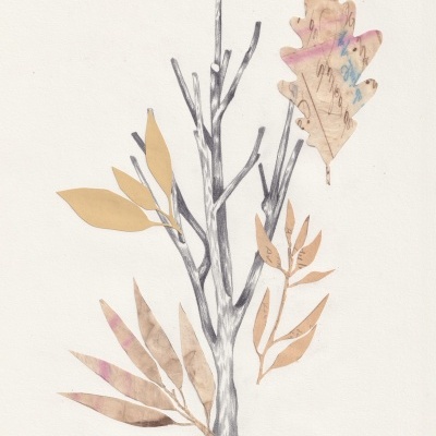 ORIGINAL "FREIXO" CLÁUDIA SALGUEIRO