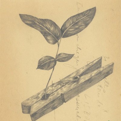 ILUSTRAÇÃO A5 VAGAR III CLAÚDIA SALGUEIRO