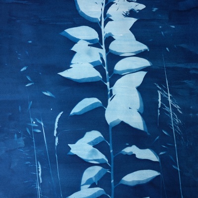 ORIGINAL "AZUL SOPRO" CLÁUDIA SALGUEIRO