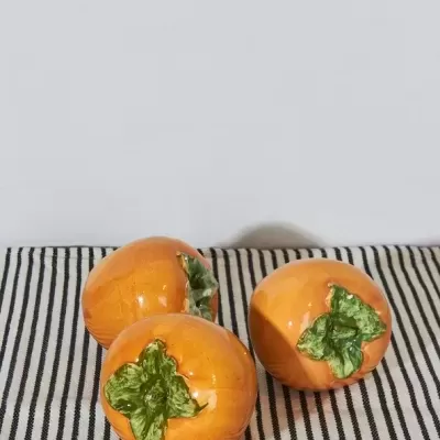 DIOSPIRO EM CERÂMICA - ETUREL MADRID