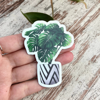 ÍMAN MONSTERA PLANTYINTROVERTS