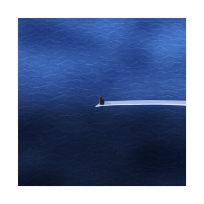 ILUSTRAÇÃO "SOS (NO FOOD IN MY BOWL)" SARA FELGUEIRAS