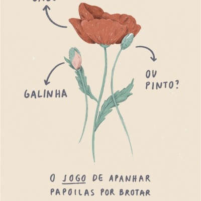 ILUSTRAÇÃO "O JOGO DE APANHAR PAPOILAS POR BROTAR  (E TENTAR ADIVINHAR A COR)" SARA LOU