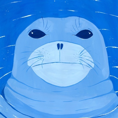 ILUSTRAÇÃO "FOCA-MONGE MEDITERRÂNEA" SARA FELGUEIRAS