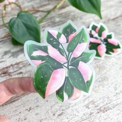 AUTOCOLANTE POTE PRINCESA ROSA PHILODENDRON TRANSPARENTE PLANTYINTROVERTS