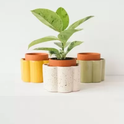 VASO AUTO-IRRIGÁVEL "PAULA" PEPIN