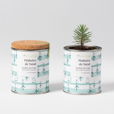 JARDIM EM LATA "PINHEIRO DE NATAL - VERDE" LIFE IN A BAG