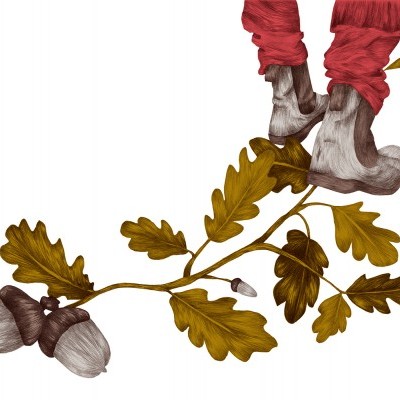 ILUSTRAÇÃO A5 "ACORN STANDING" CLÁUDIA SALGUEIRO